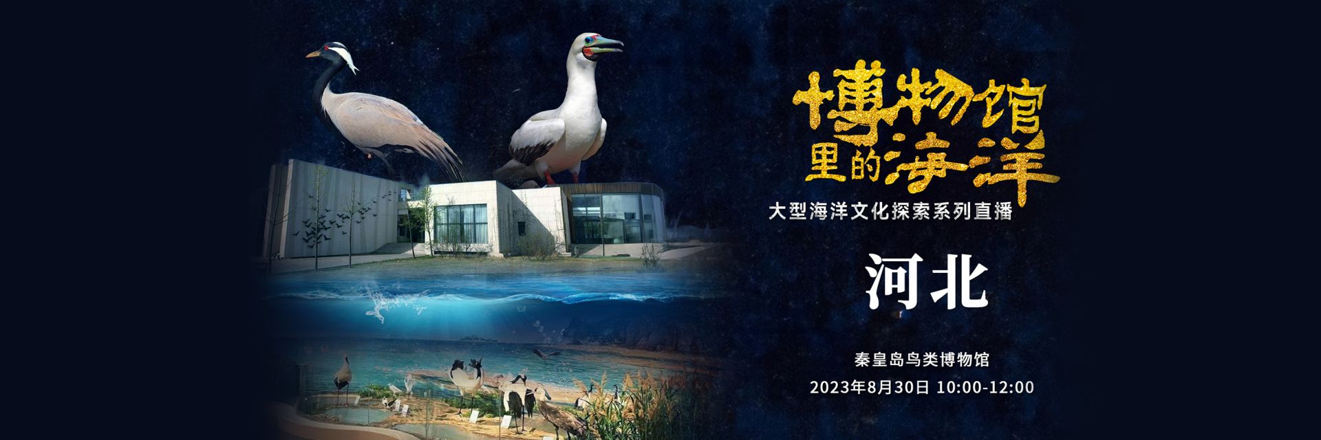博物馆里的海洋——河北秦皇岛鸟类博物馆