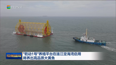 “乾动1号”养殖平台在连江定海湾启用 将养出高品质大黄鱼