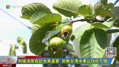 溜溜福州：到福清南宵赴水果盛宴  新鲜台湾水果让你吃个够