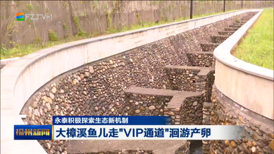 永泰积极探索生态新机制 大樟溪鱼儿走“VIP通道”洄游产卵  