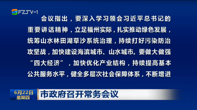 市政府召开常务会议