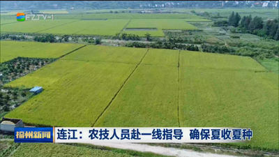连江：农技人员赴一线指导 确保夏收夏种