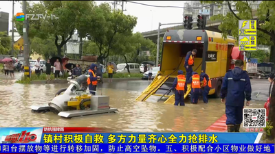 镇村积极自救 多方力量齐心全力抢排水