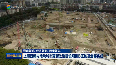 党建领航 经济领跑 民生领先 上海西新村地块城市更新改造建设项目B区桩基全部完成