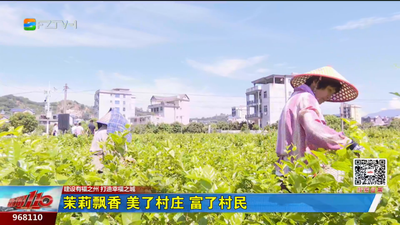 茉莉飘香 美了村庄 富了村民
