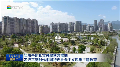 我市各地扎实开展学习贯彻习近平新时代中国特色社会主义思想主题教育