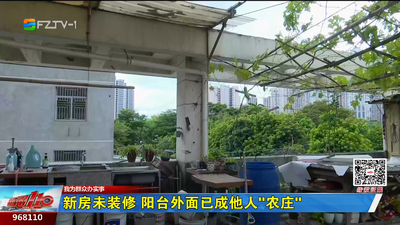 我为群众办实事丨新房未装修 阳台外面已成他人“农庄”