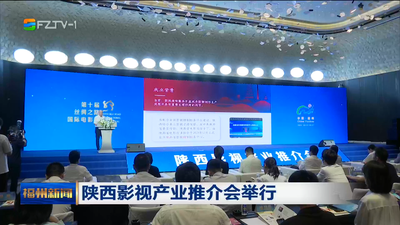 陕西影视产业推介会举行