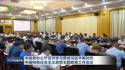 市政府办公厅召开学习贯彻习近平新时代中国特色社会主义思想主题教育工作会议