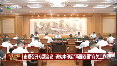市委召开专题会议 研究中印尼“两国双园”有关工作