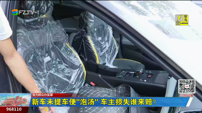 新车未提车便“泡汤” 车主损失谁来赔？