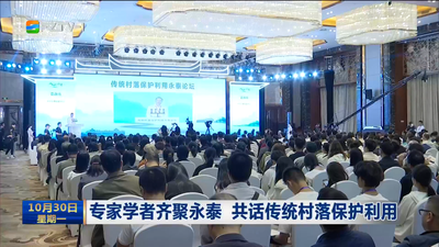 专家学者齐聚永泰 共话传统村落保护利用