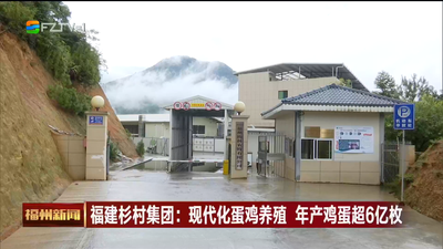 福建杉村集团：现代化蛋鸡养殖 年产鸡蛋超6亿枚