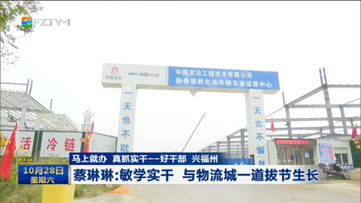 马上就办 真抓实干——好干部 兴福州 蔡琳琳:敏学实干 与物流城一道拔节生长