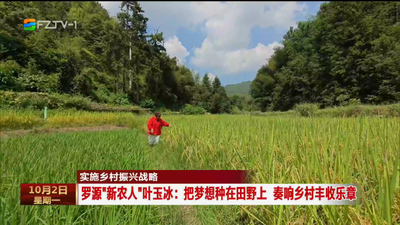 实施乡村振兴战略 罗源“新农人”叶玉冰：把梦想种在田野上 奏响乡村丰收乐章