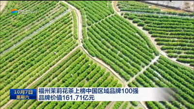 福州茉莉花茶上榜中国区域品牌100强 品牌价值161.71亿元