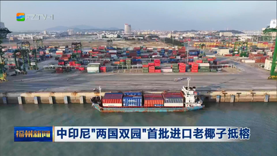 中印尼“两国双园”首批进口老椰子抵榕