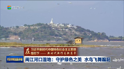 在习近平新时代中国特色社会主义思想指引下 新时代 新作为 新篇章 闽江河口湿地：守护绿色之美 水鸟飞舞蹁跹