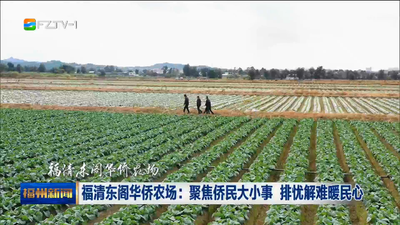 福清东阁华侨农场：聚焦侨民大小事 排忧解难暖民心