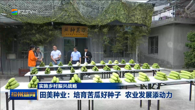 实施乡村振兴战略 田美种业：培育苦瓜好种子 农业发展添动力