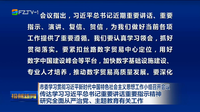 市委学习贯彻习近平新时代中国特色社会主义思想工作小组召开会议 传达学习习近平总书记重要讲话重要指示精神 研究全面从严治党、主题教育有关工作