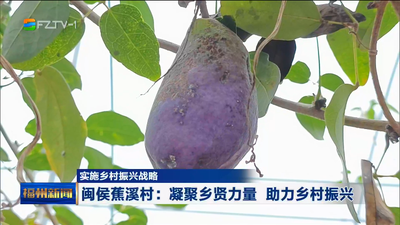 实施乡村振兴战略  闽侯蕉溪村：凝聚乡贤力量 助力乡村振兴