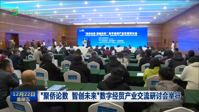 “聚侨论数 智创未来”数字经贸产业交流研讨会举行
