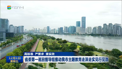 高标准 严要求 重实效  省委第一巡回督导组推动我市主题教育走深走实见行见效