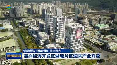 福兴经济开发区湖塘片区迎来产业升级