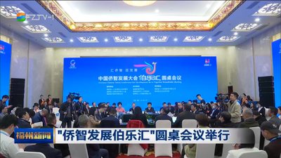 “侨智发展伯乐汇”圆桌会议举行