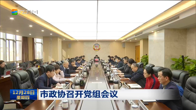 市政协召开党组会议