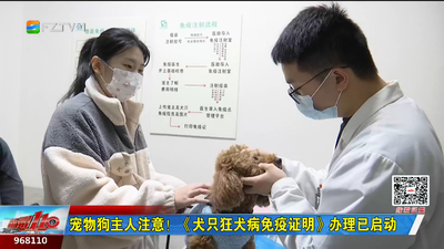 宠物狗主人注意！《犬只狂犬病免疫证明》办理已启动