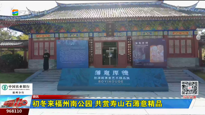 初冬来福州南公园 共赏寿山石薄意精品
