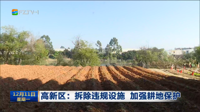高新区：拆除违规设施 加强耕地保护 
