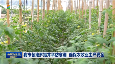 我市各地多措并举防寒潮 确保农牧业生产安全