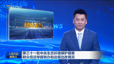 第三十一批中央生态环境保护督察 群众信访举报转办和边督边改情况
