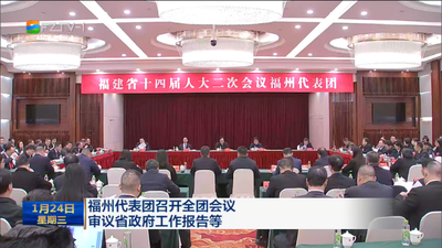 福州代表团召开全团会议 审议省政府工作报告等
