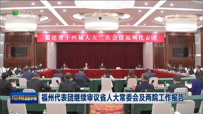 福州代表团继续审议省人大常委会及两院工作报告