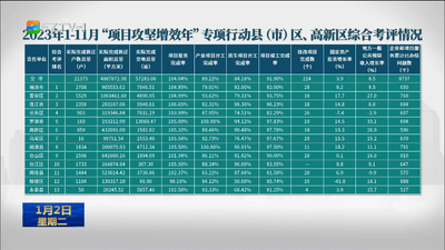 2023年1-11月“项目攻坚增效年”专项行动县（市）区、高新区综合考评情况