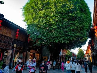 春节假期预订量猛增 福州成为国内游热门城市