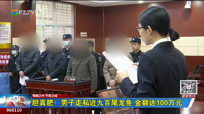 胆真肥！男子走私近九百尾龙鱼 金额达100万元