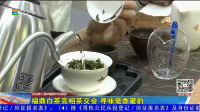 福鼎白茶亮相茶交会 寻味毫香蜜韵