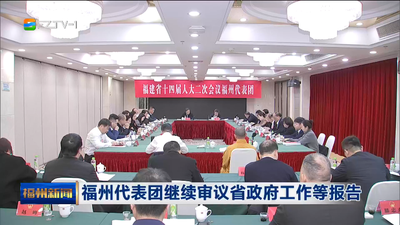 福州代表团继续审议省政府工作等报告