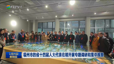 福州市的省十四届人大代表在榕开展专题调研和集中视察