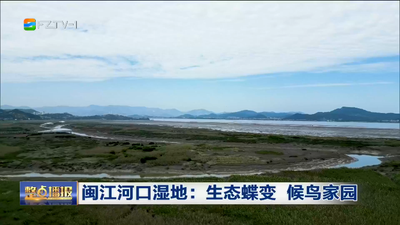 闽江河口湿地：生态蝶变 候鸟家园