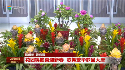 花团锦簇喜迎新春 歌舞繁华梦回大唐