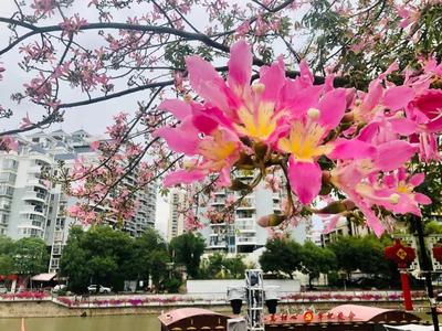 春节期间福州将深入开展“温暖在榕城”新时代文明实践主题活动