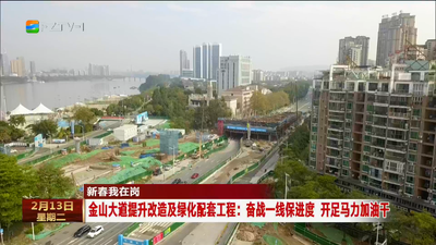 新春我在岗 金山大道提升改造及绿化配套工程：奋战一线保进度 开足马力加油干