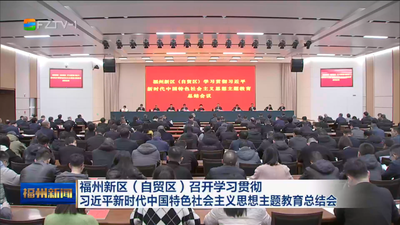 福州新区（自贸区）召开学习贯彻习近平新时代中国特色社会主义思想主题教育总结会
