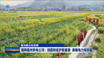 我为群众办实事 国网福州供电公司：线路特巡护航春耕 奏响电力保供曲